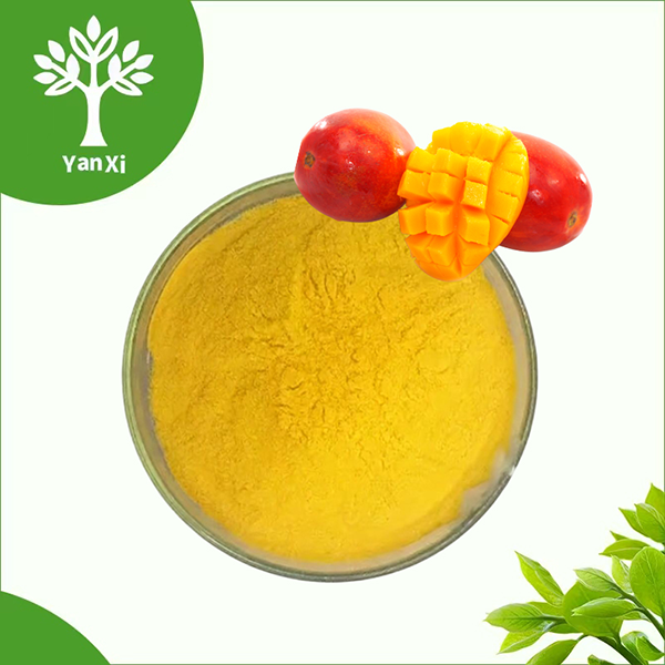 Bulk Mango Powder Bulk Mango Powder